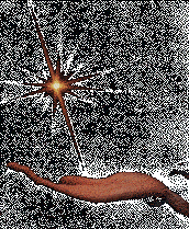 subliminal seduction to attract women