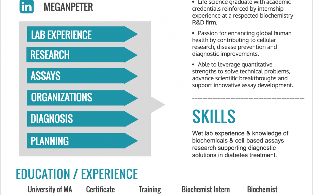 7 Creative Resume Design Layouts That Will Set You Apart