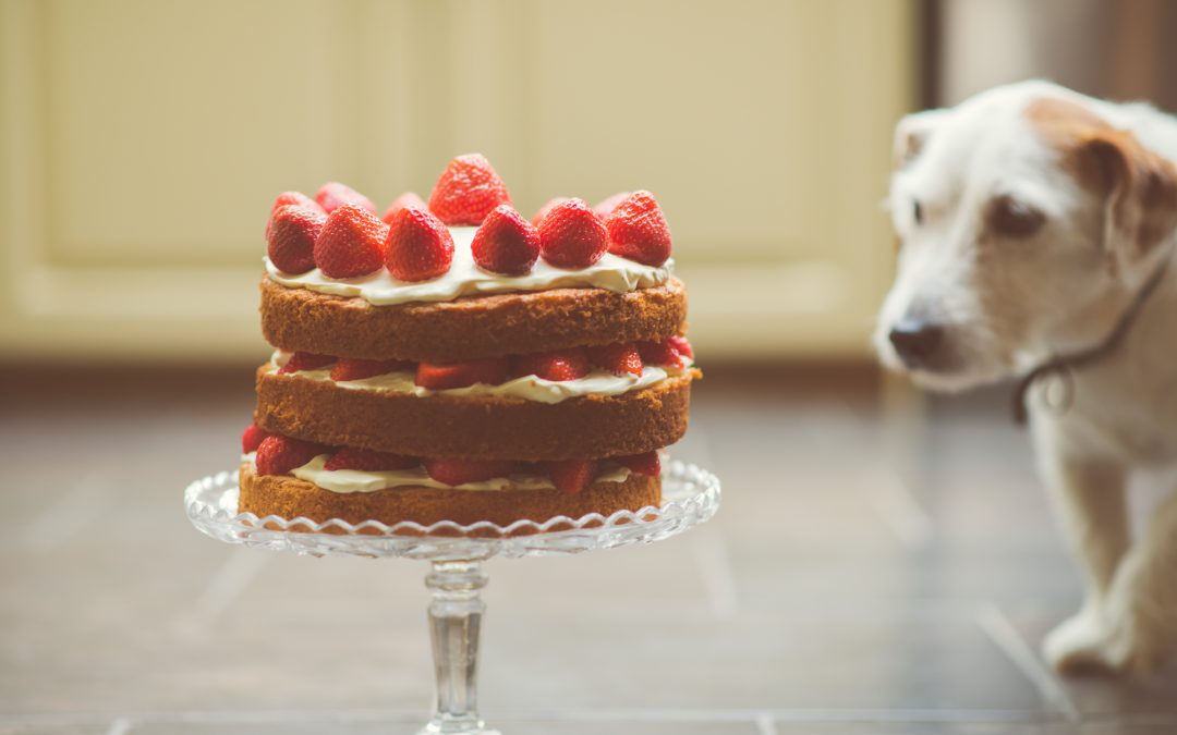 Science Explains Why We Tend to Unintentionally Sabotage Our Goals
