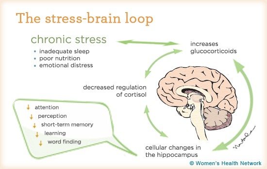 7 Science-Backed Ways You Can Reduce Stress Today