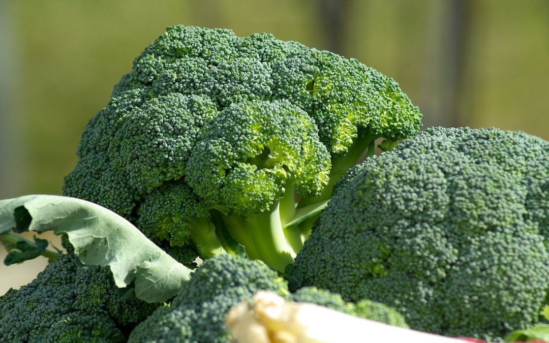 Top Cancer-Fighting Foods