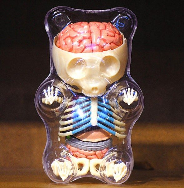 15 Outrageous But Cool Things You Can Buy Online