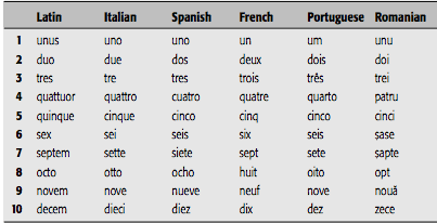 12 Surprising Benefits of Learning a New Language That You’ll Experience