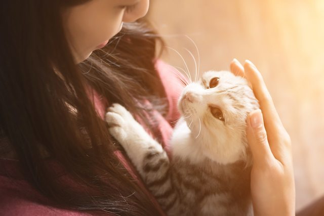 Healing Through Service: 20 Ways to Help Others (and Yourself)
