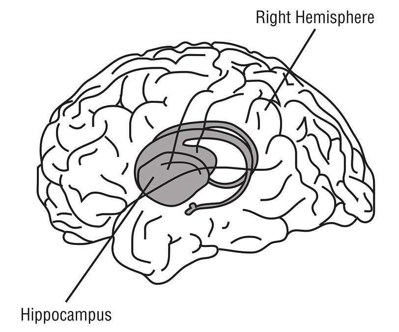 Depression Isn’t A Choice, It’s A Kind Of Brain Damage