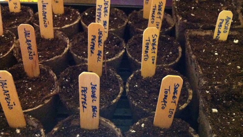 Protect Garden Labels Against Water with Clear Nail Polish