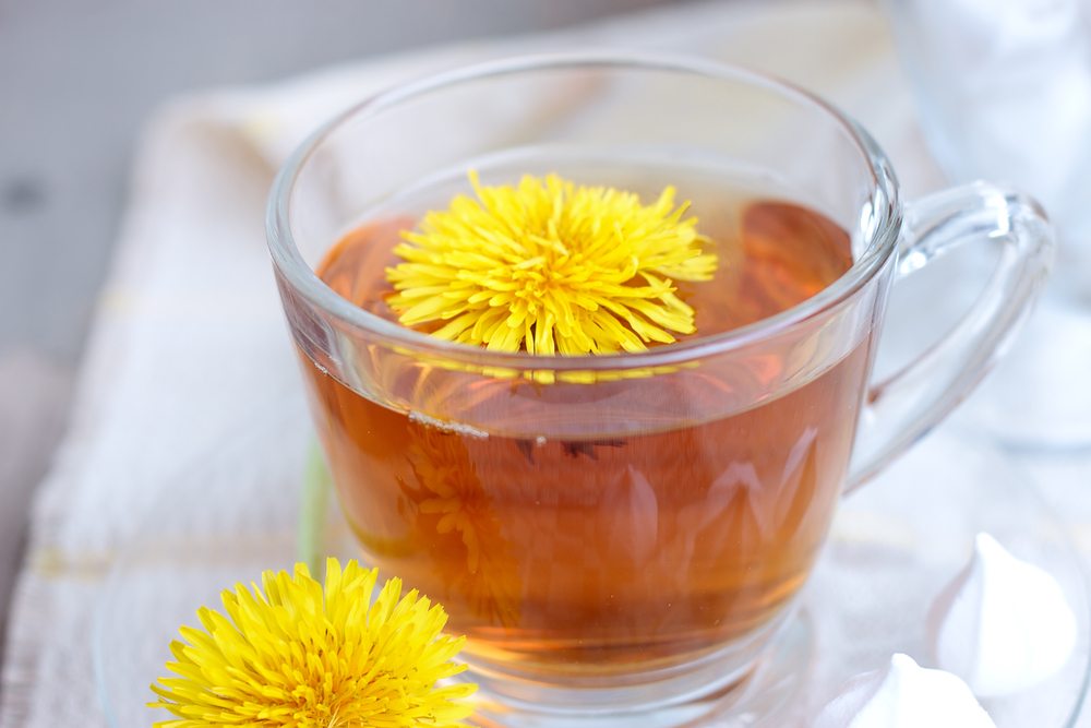 Dandelion Root Tea: Natural Alternative Cure For Cancer