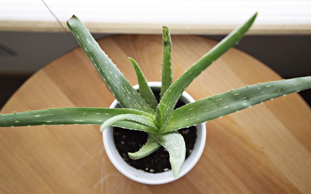 12 Incredible Home Remedies To Remove Skin Tags