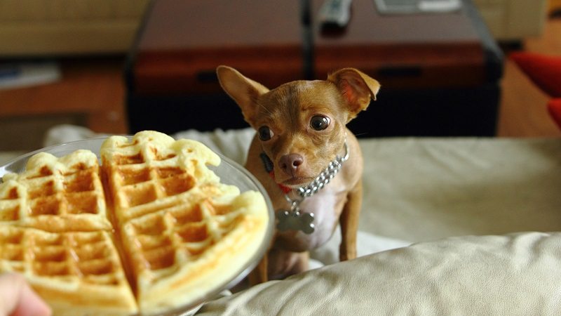 Make Crispier, Fluffier Waffles With Perfectly Whipped Egg Whites