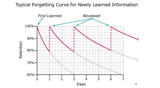 7 Ways To Learn a Foreign Language Faster (That Are Backed by Science)
