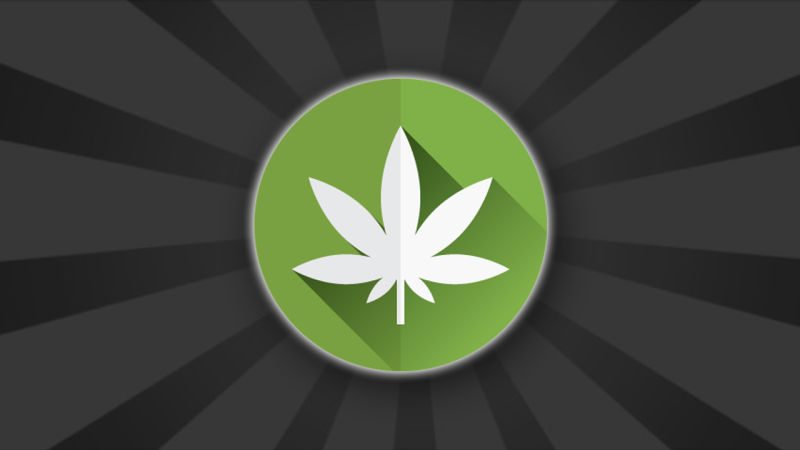 Everything You Need to Know About Medical Marijuana