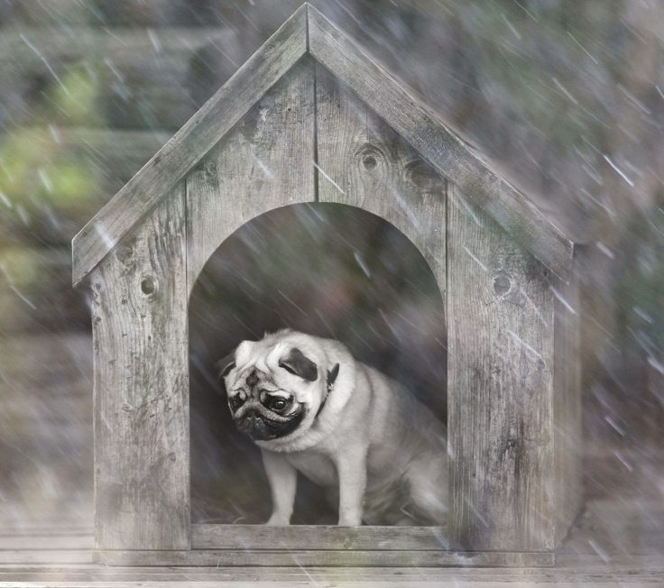 How to crush your performance improvement plan