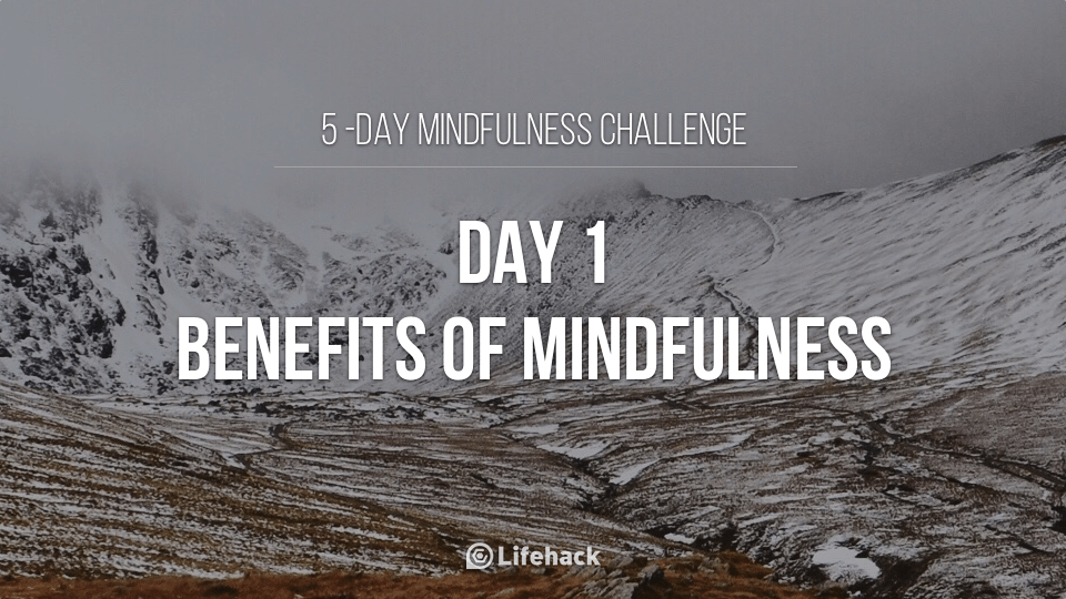5-Day Mindfulness Challenge: Day 1