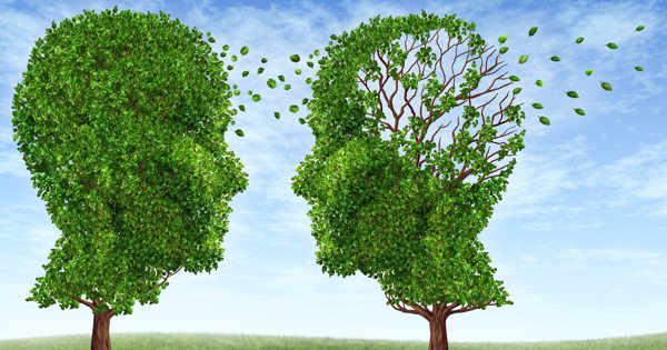 How Good Is Your Memory?