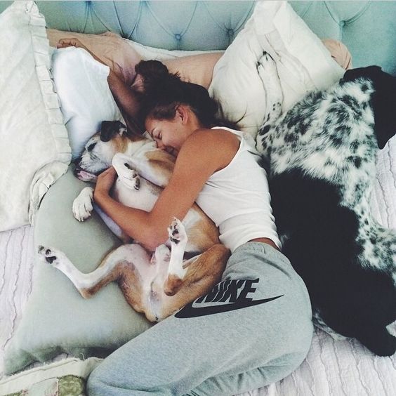 Sharing Your Bed With Your Lovely Pet Can Bring Better Sleep, Study Finds