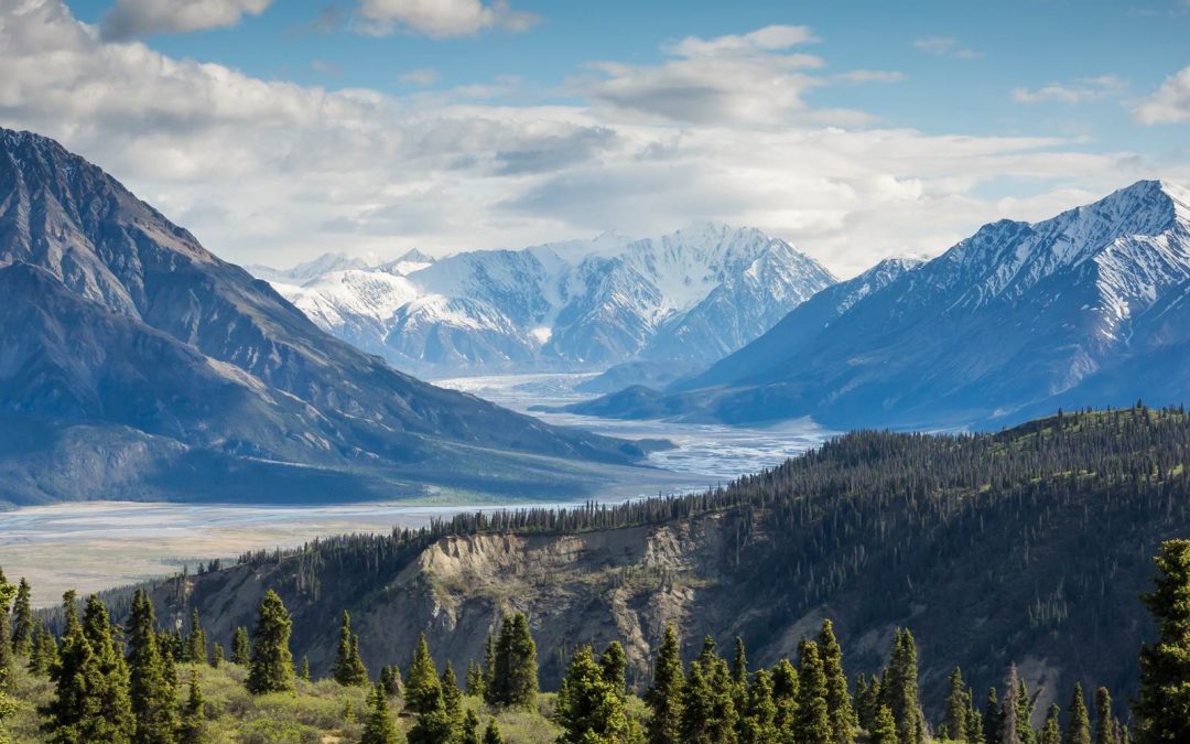 For Those Who Are Busy: Here’s One Natural Drink With Many Incredible Health Benefits