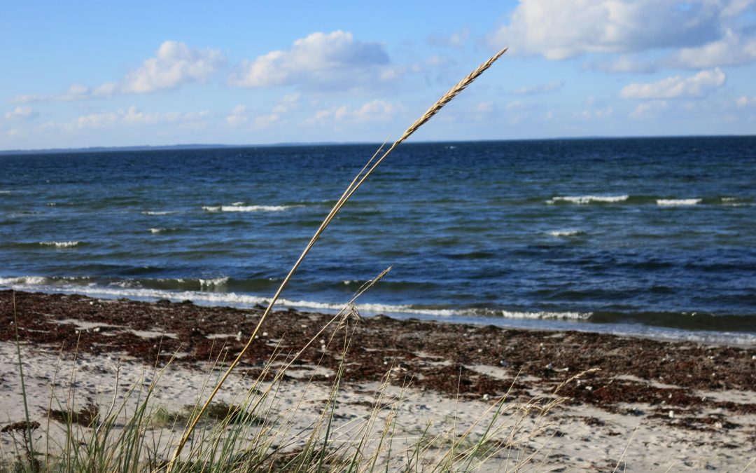 Scientists Confirm Living Near Water Can Improve Mental Health