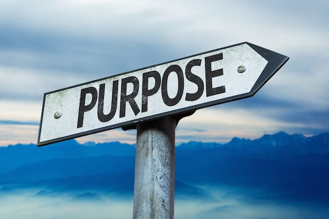 The One Purpose We All Share in Life