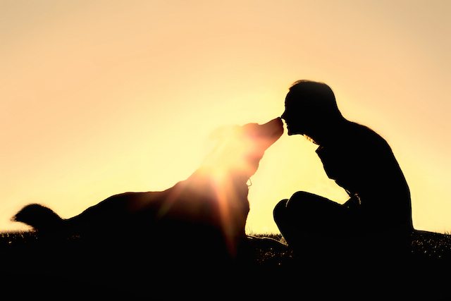 One Simple Way to Be a Good Friend (A Lesson from My Childhood Dog)
