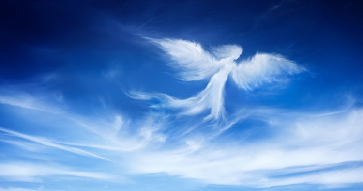 5 Signs from Your Angels You Should Never Ignore (and Why)