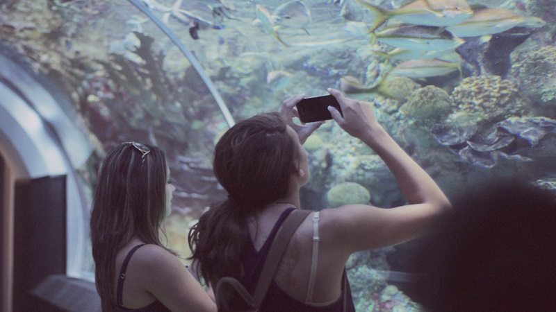 Build a Better Relationship With Your Roommate by Having Monthly Outings