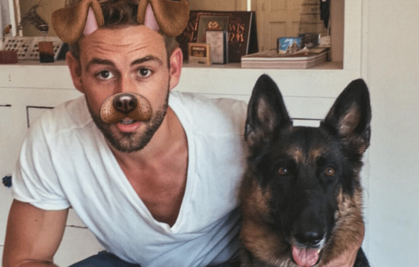 The Reason Nick Viall’s Season Of ‘The Bachelor’ Will Be So Far Better Than Most