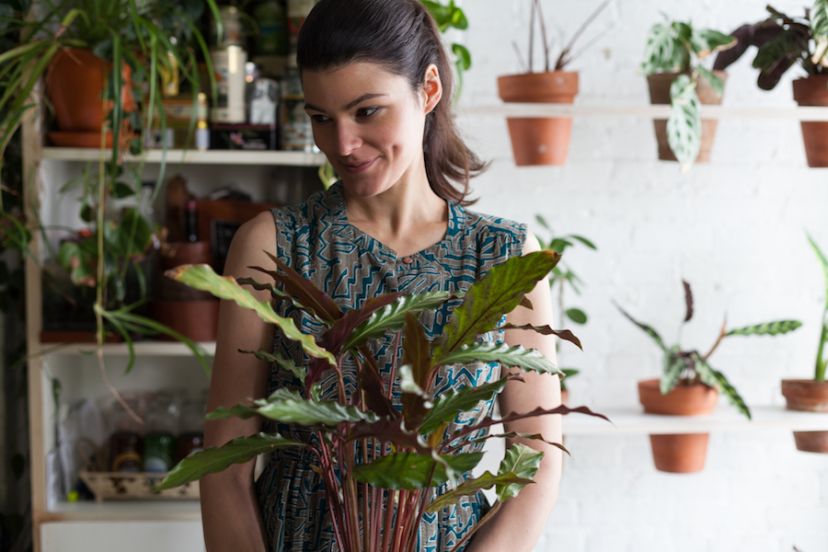Why I Filled My NYC Flat With 500 Houseplants