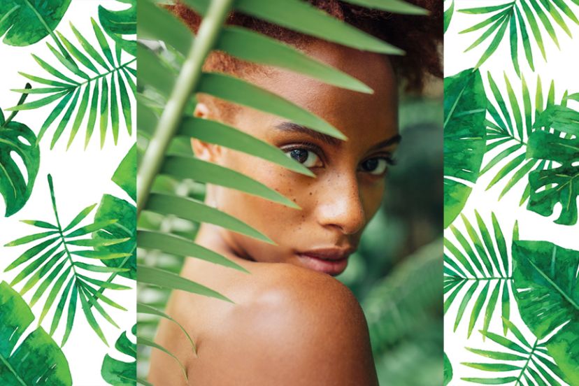 The Attractiveness Brands That Fit In Every Sustainable Apothecary