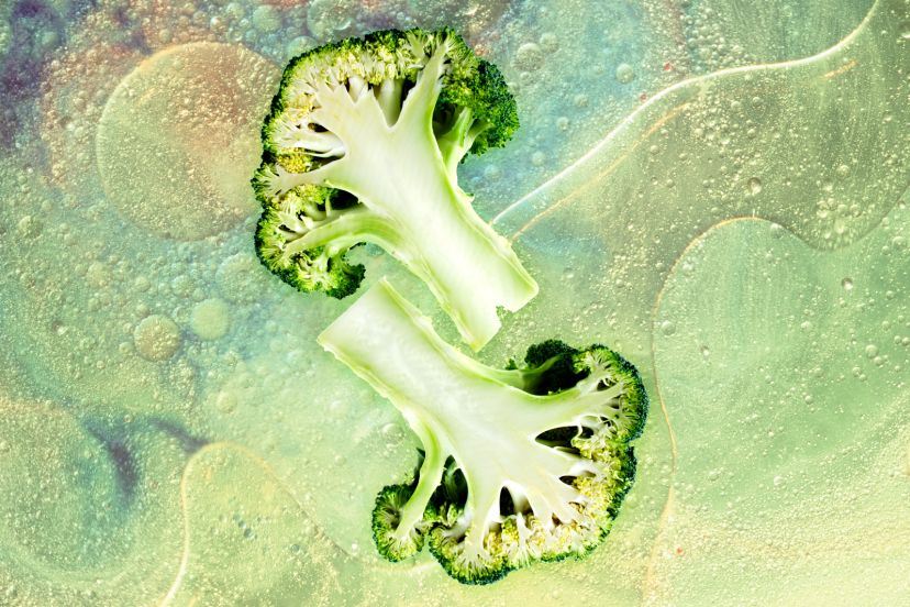 The Face Oil To Stop All Face Oils