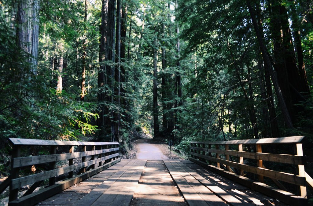 If You Want To Live, Don’t Go Geocaching Alone